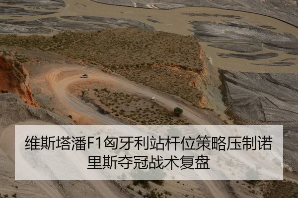 维斯塔潘F1匈牙利站杆位策略压制诺里斯夺冠战术复盘