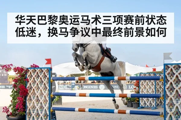 show jumping horse competition