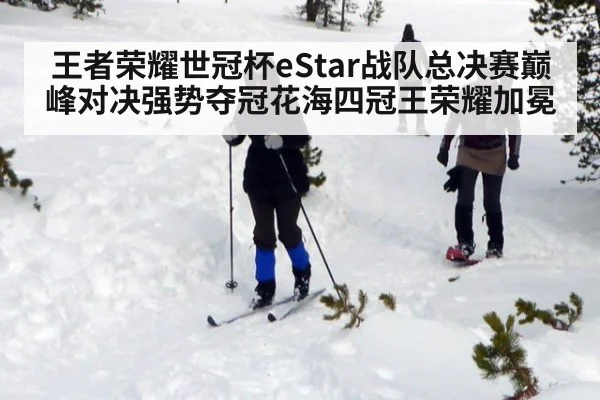 王者荣耀世冠杯eStar战队总决赛巅峰对决强势夺冠花海四冠王荣耀加冕